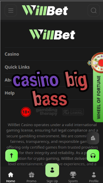 Casino Big Bass - Popular Fishing-Themed Slot Series-casinoorder.vip
